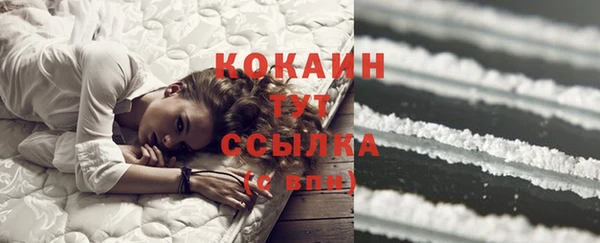 индика Балабаново