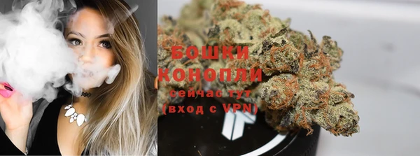 индика Белоозёрский