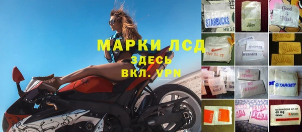 индика Балабаново
