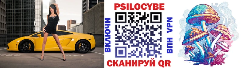 Галлюциногенные грибы GOLDEN TEACHER  где найти   Жуков 